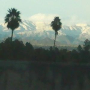 Meet your Posher, Brett